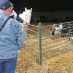 Actividades de ocio en el Servicio de Centro de Día de ASPACE Badajoz (11)